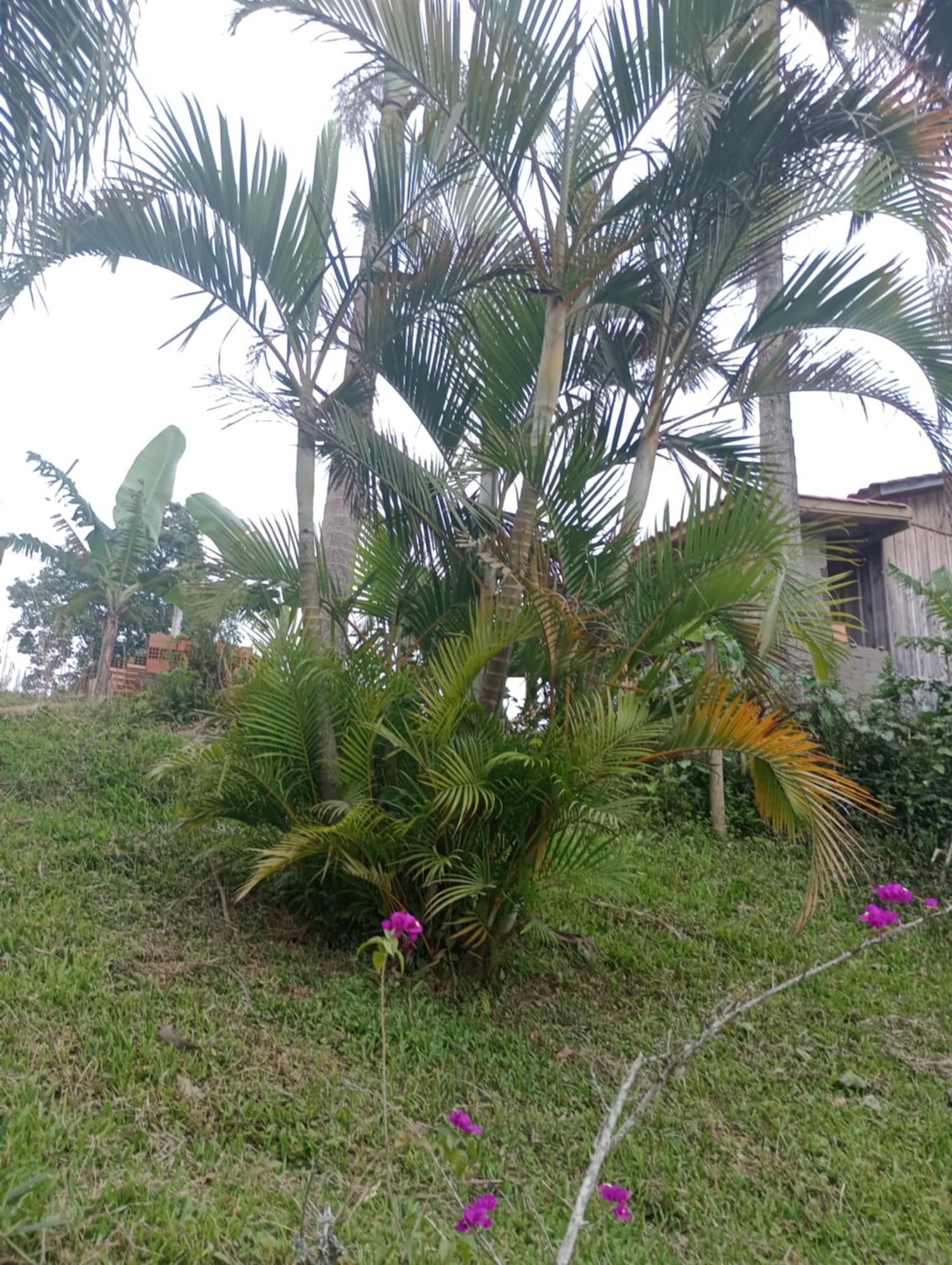 Familia Cataneo Villa Lauro Muller Exterior photo